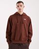 The North Face The North Face Evolution Simple Dome hoodie in brown - 1