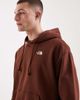 The North Face The North Face Evolution Simple Dome hoodie in brown - 4