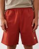 The North Face The North Face Evolution Simple Dome shorts in dark red - 4
