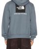 The North Face The North Face Men's Evolution Box NSE Regular Hoodie - 1