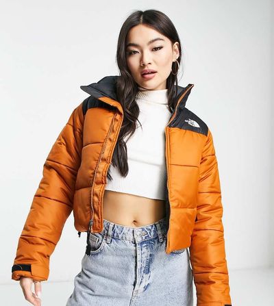The North Face The North Face Saikuru cropped jacket in tan - Exclusive at ASOS-Brown
