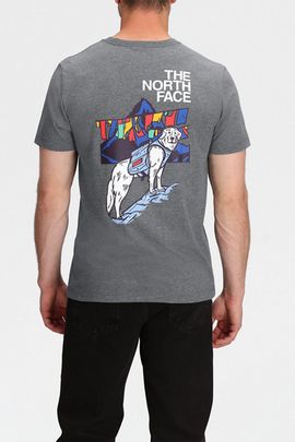 The North Face The North Face Sunlit Summit Graphic Tee in Grey, Men's at Urban Outfitters
