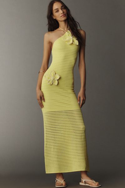 The Wolf Gang Sevilla 3D Floral Halter Maxi Dress