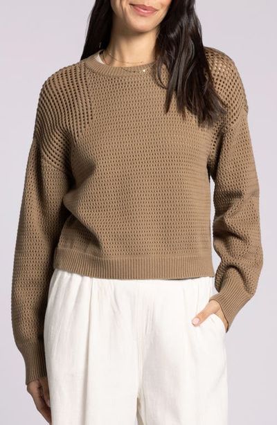 Thread & Supply Thread & Supply Jasmine Cotton Mesh Sweater