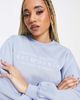 Threadbare Threadbare Fitness Dixie embroidered sweatshirt in pale blue - 1
