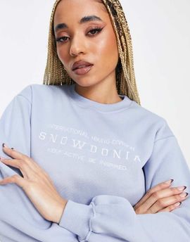 Threadbare Threadbare Fitness Dixie embroidered sweatshirt in pale blue