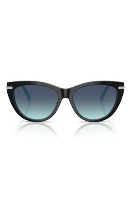 Tiffany & Co. Tiffany & Co. 55mm Cat Eye Sunglasses