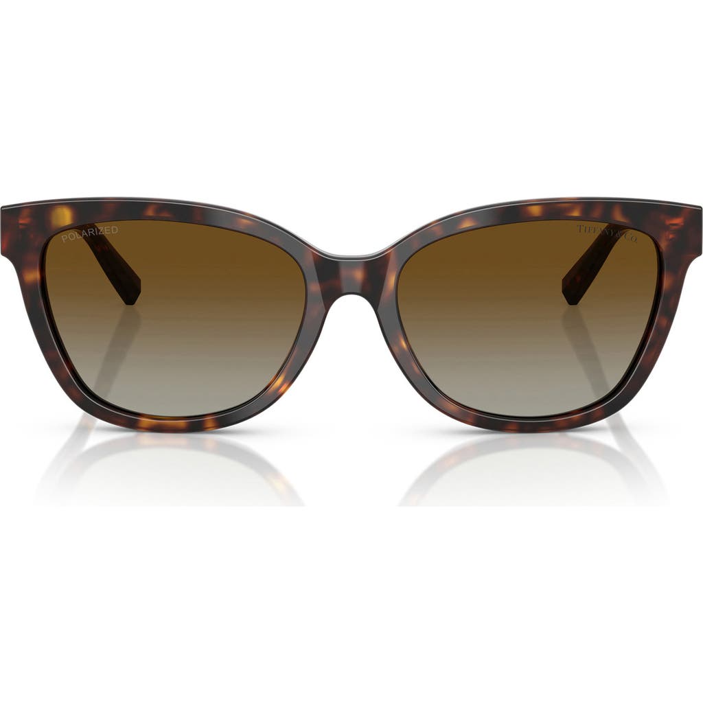 Tiffany & Co. Tiffany & Co. 55mm Polarized Gradient Cat Eye Sunglasses