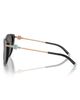 Tiffany & Co. Tiffany & Co. 57mm Cat Eye Sunglasses - 4