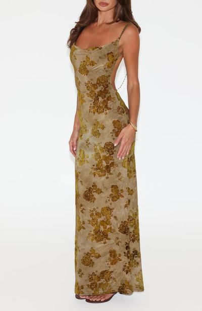 Tiger Mist Dresses