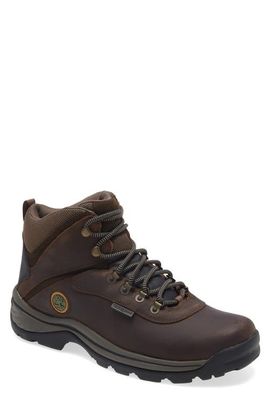 Timberland Timberland White Ledge Mid Waterproof Hiking Boot