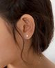 Tiny Blessings Tiny Blessings 14K Gold 4mm Round Cut Stud Screw Back Earrings - 2