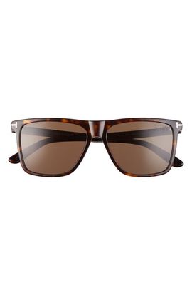 TOM FORD TOM FORD 57mm Fletcher Square Sunglasses