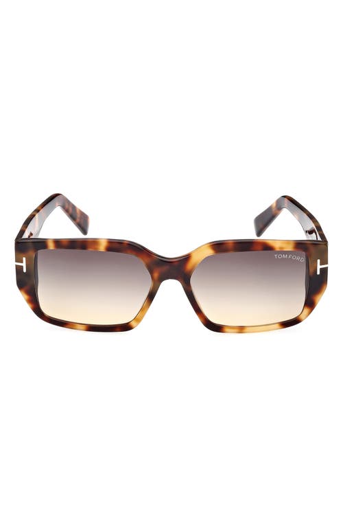 TOM FORD TOM FORD Andres 56mm Square Sunglasses