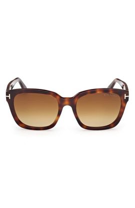 TOM FORD TOM FORD Haylay 53mm Square Sunglasses (Nordstrom Exclusive)