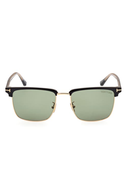 TOM FORD TOM FORD Hudson-02 55mm Square Sunglasses