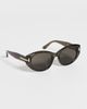 Tom Ford Tom Ford Icon Round Sunglasses Shiny Transparent Mink One - 4