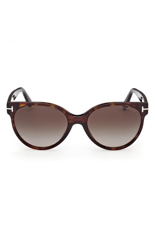 TOM FORD TOM FORD Tallulah 56mm Gradient Round Sunglasses