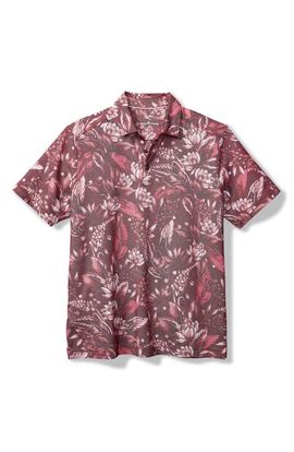 Tommy Bahama Tommy Bahama Midnight Excursions Floral Piqué Polo