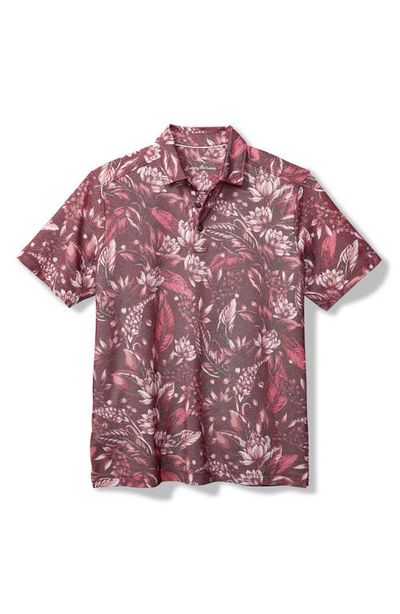 Tommy Bahama Tommy Bahama Midnight Excursions Floral Piqué Polo