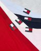 Tommy Hilfiger Tommy Hilfiger 5 pack flag thongs in white/red/pink/blue/navy-Multi - 3