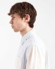 Tommy Jeans Tommy Jeans oxford shirt in blue & green stripes - 4