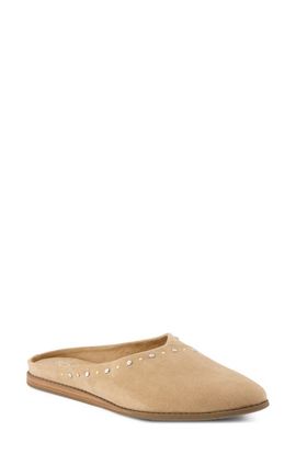 TOMS TOMS Amelia Flat Mule