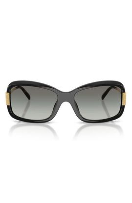 Tory Burch Tory Burch 56mm Rectangular Sunglasses