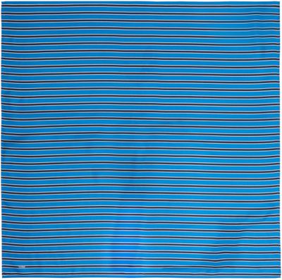 TOTEME TOTEME Blue & Navy Striped Silk Scarf