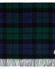 TOTEME TOTEME Green & Navy Checked Cashmere Scarf - 1