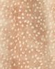 Tractr Tractr Kids' Fawn Print Wide Leg Jeans - 3
