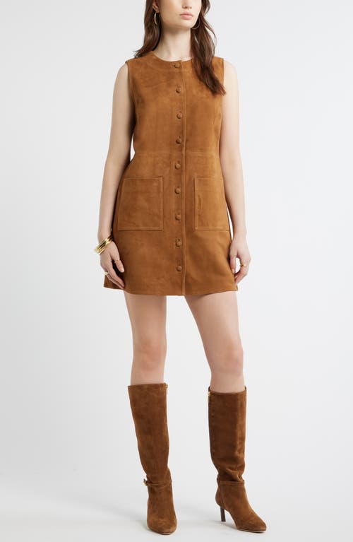 Treasure & Bond Treasure & Bond Suede Sheath Dress
