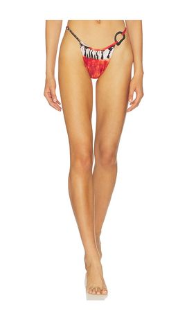 Tropic of C Tropic of C Shell Luna Bikini Bottom