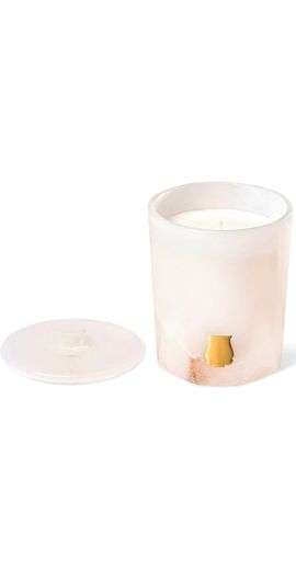 Trudon Trudon Atria The Alabasters Candle Iris and Amber 270
