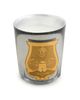 Trudon Trudon Cabinet Des Miroirs Candle Powdery Amber 270 - 6