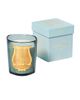 Trudon Trudon Scented Candle Figuerie 270g - 2