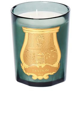 Trudon Trudon Scented Candle Figuerie 800g