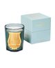 Trudon Trudon Scented Candle Figuerie 800g - 2