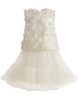 Tulleen Tulleen Amorette Floral Applique Top and Dress Set - 1