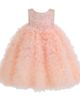 Tulleen Tulleen Beatrice Ruffled Tulle Dress - 1