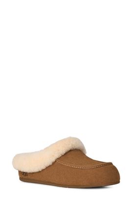 UGG(r) UGG(r) Ansley Genuine Shearling Trim Suede Mule