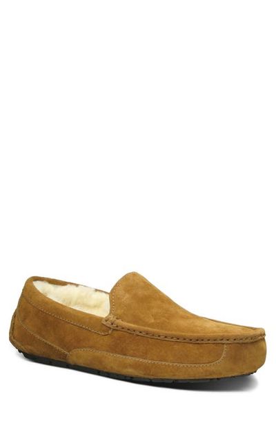 UGG(r) UGG(r) Ascot Loafer Slipper