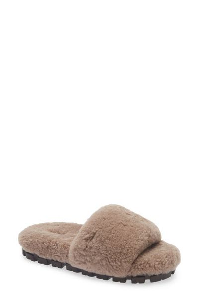 UGG(r) UGG(r) Cozetta Curly Genuine Shearling Slide Slipper