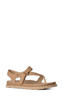 UGG(r) UGG(r) GoldenGaze Toe Post Leather Sandal
