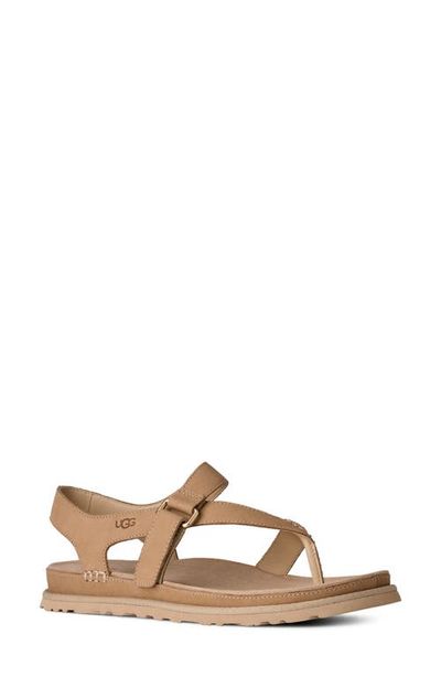 UGG(r) UGG(r) GoldenGaze Toe Post Leather Sandal