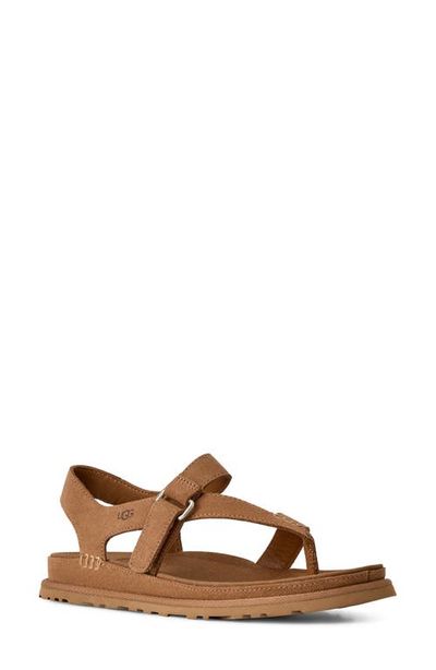 UGG(r) UGG(r) GoldenGaze Toe Post Suede Sandal