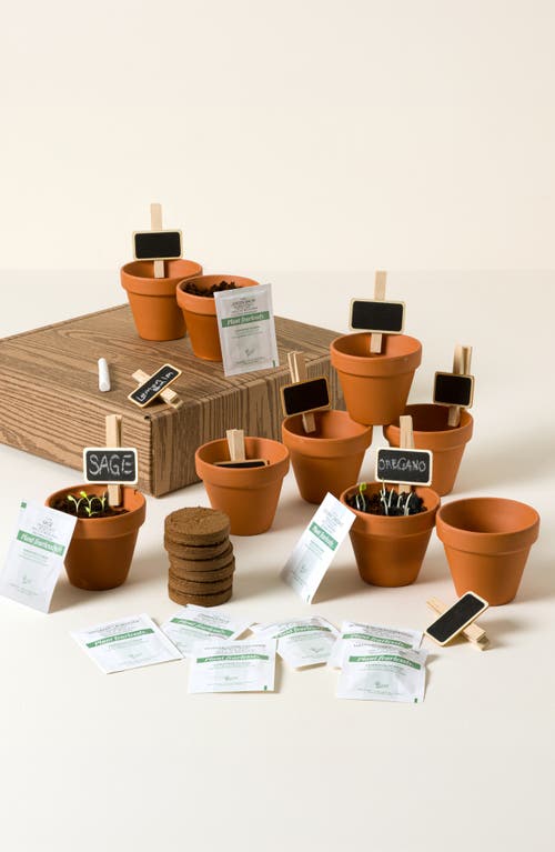 Uncommon Goods Uncommon Goods Apothecary Garden Grow Kit