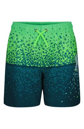 Under Armour Under Armour Gamer Graphic Swim Trunks