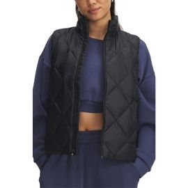 Under Armour Under Armour Legend Quilted Down Vest