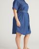 Universal Standard Universal Standard Perfect Tencel Chambray Shirtdress - 3